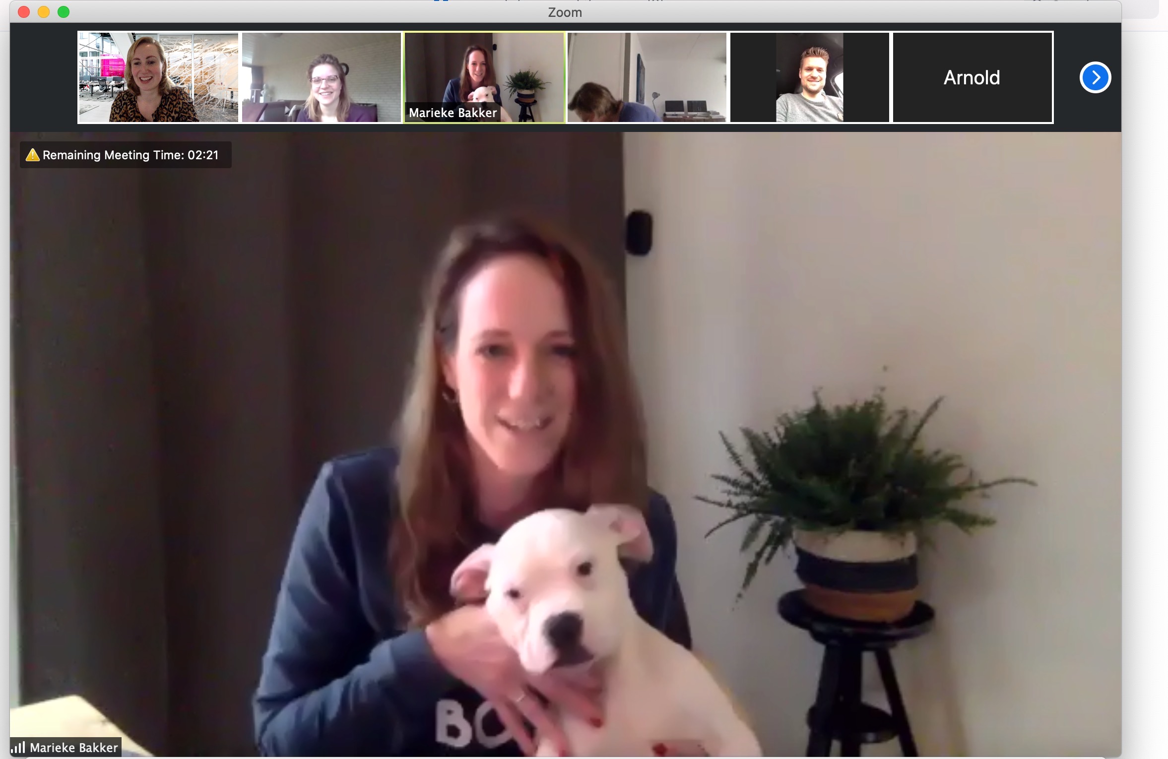Thuiswerken met puppy