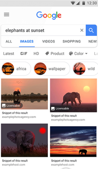seo roundup februari